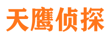 樟树侦探公司